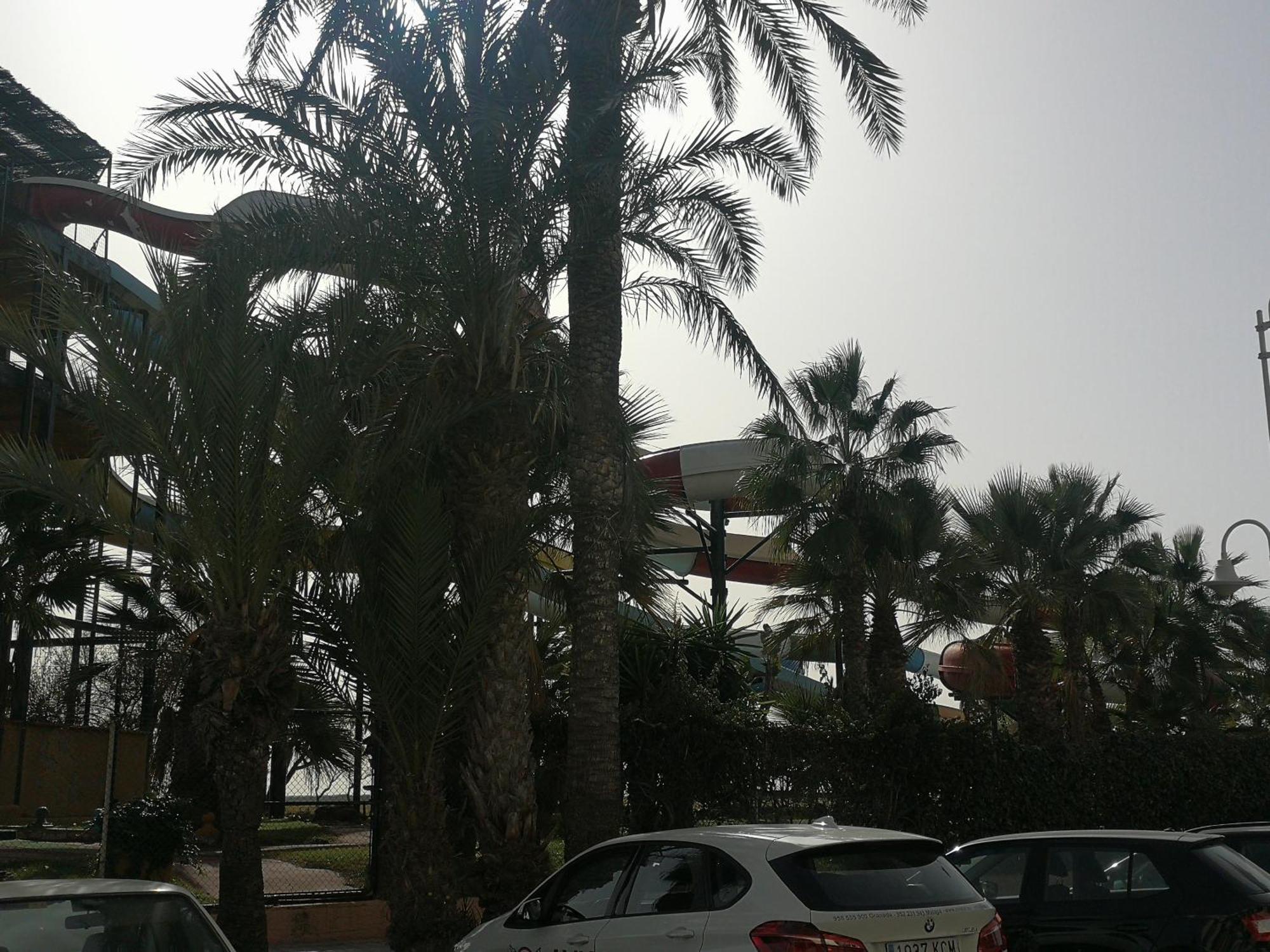 Appartement Playa Velilla Park Ii *